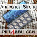 Anaconda Strong 34